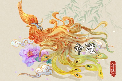 择吉皇历|皇历择吉|皇历